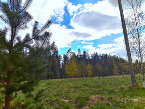 Продажа земельный участок (10 соток, садоводство) вблизи д. Монино Тихвинского р-на Тихвинский район Продажа земельный участок (10 соток, садоводство) вблизи д. Монино Тихвинского р-на Тихвинский район